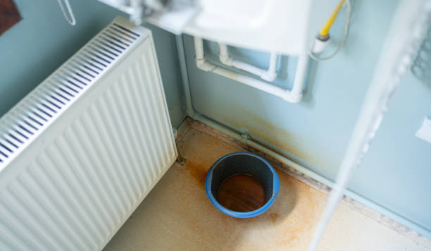 Best Flood damage cleanup  in Palm Beach Gardens, FL