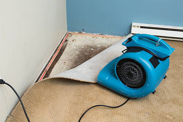 Best Emergency water damage restoration  in Palm Beach Gardens, FL